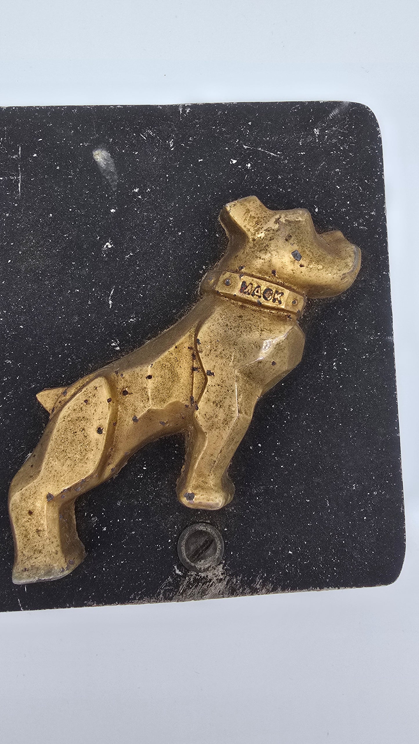 Vintage Gold Mack Truck Bulldog Side Emblems Mounted on Metal Plate